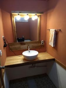 uma casa de banho com um lavatório e um espelho em Hotel Don Quichotte em Tortuguero