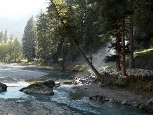 a river with rocks and trees on the side at Hayat Hotel Pahalgam in Pahalgām