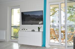 TV a/nebo společenská místnost v ubytování Apartamenty Feniks & Pegaz