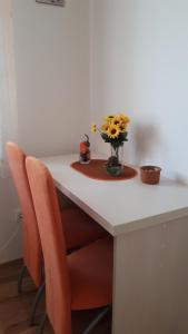 Fotografie z fotogalerie ubytování Apartman Ana v destinaci Aranđelovac