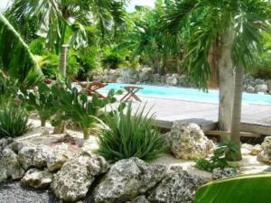 Der Swimmingpool an oder in der Nähe von Ti coin paradis