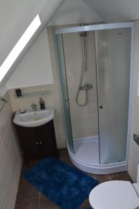 ein Bad mit einer Dusche und einem Waschbecken in der Unterkunft Apartament Golden Rose in Buşteni