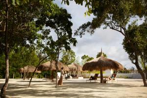 a group of straw umbrellas on a beach at Bluewater Panglao Beach Resort in Panglao