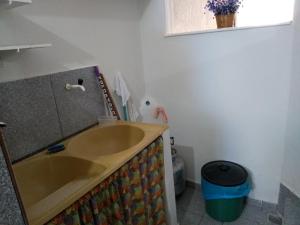 baño con lavabo de oro y cubo de basura en Casa Praia do Forte, en Cabo Frío