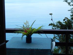 a potted plant sitting on a table on a balcony at Pousada Mar de Sonhos in Praia de Araçatiba