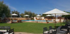a pool with chairs and umbrellas in a yard at Hotel Corallo in Fregene