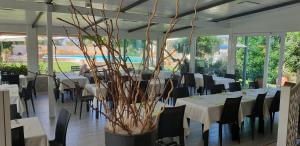 a dining room with tables and chairs and a plant at Hotel Corallo in Fregene