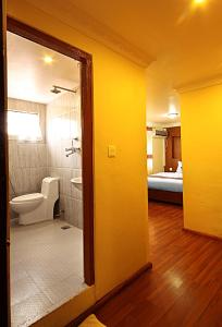 a bathroom with a shower and a toilet in a room at Hotel Bubo Himalaya in Kathmandu