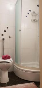 W łazience znajduje się toaleta i przeszklony prysznic. w obiekcie Apartman Gobac w mieście Karlovac
