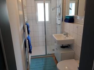 a bathroom with a shower and a sink and a toilet at Ferienwohnungen am Köhlerhang Bad Lauterberg im Harz in Bad Lauterberg +19 photos