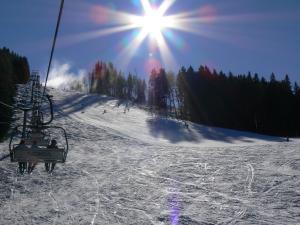 Afbeelding uit fotogalerij van Chata Ilčík in Terchová