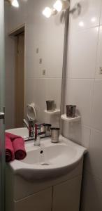 W łazience znajduje się biała umywalka i lustro. w obiekcie Apartman Gobac w mieście Karlovac