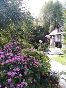 a garden with pink flowers in front of a house at Le Moulin des Roses in Neslette