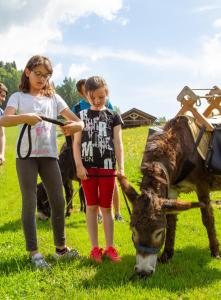 Fotografie z fotogalerie ubytování Camping Castelpietra v destinaci Fiera di Primiero