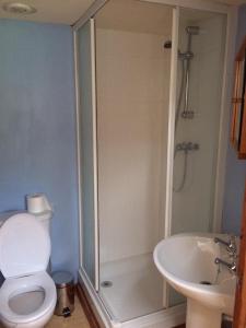 a bathroom with a shower and a toilet and a sink at George's House - 1 Leacklee in Manish