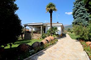 a house with a palm tree and a driveway at Las Hazas Jarandilla de la Vera in Jarandilla de la Vera
