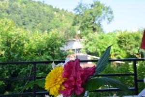 Un jardín fuera de Siddhartha Garden Ayurveda