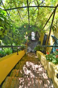 a walkway in a garden with plants and trees at Villa Margherita in Levanto