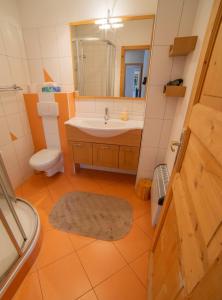 ein Badezimmer mit einem Waschbecken, einem WC und einem Spiegel in der Unterkunft Rafting Alm in Haiming