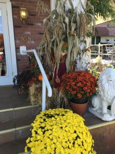 Afbeelding uit fotogalerij van The Black Mountain Inn in Brattleboro