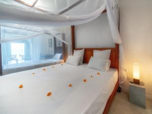 Gallery image of Blue Parrot Beach Villa in Ambalangoda