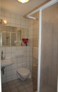 a bathroom with a toilet and a sink at Ferienhaus LIVI in Zandt
