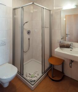 ein Bad mit einer Dusche, einem WC und einem Waschbecken in der Unterkunft Apart Luneta in Ladis