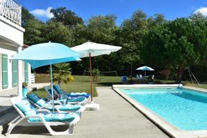 un grupo de sillas y sombrillas junto a una piscina en Villa Florida en Le Bugue