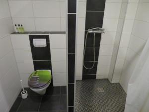 メルビッシュ・アム・ゼーにあるHaus zum Seeのバスルーム(緑のトイレ、シャワー付)