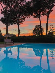un tramonto su una piscina con tavolo e alberi di Residenza Campus Roma a Selcetta