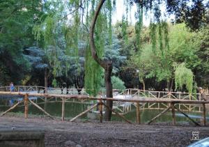 un puente de madera sobre un estanque en un parque en Confortevole appartamento nel cuore di Termoli, en Termoli