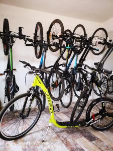 Jazda na bicykli v okolí ubytovania Vila Lednice