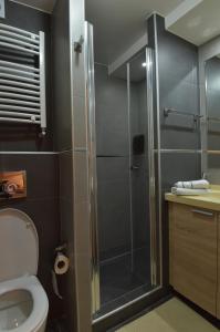 a bathroom with a shower with a toilet and a sink at Apartment Ski Star Konaci in Kopaonik +18 photos