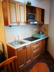 A kitchen or kitchenette at Apartmán Marta, 200 m Ski Tatranska Lomnica