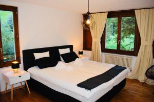 a bedroom with a large bed with two windows at Breathtaking Waterfall Apartment in Lauterbrunnen