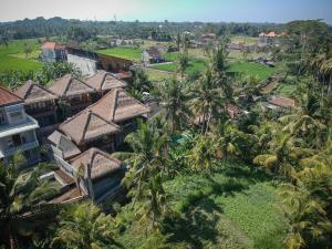 z powietrza widok na ośrodek z palmami w obiekcie ILA Villa Ubud w mieście Ubud