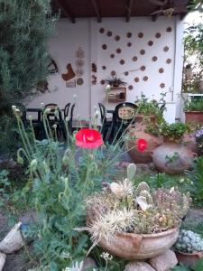 einen Garten mit einem Haufen Pflanzen und Stühlen in der Unterkunft Hotel Portal del Santo in Cafayate