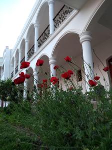 un grupo de flores rojas delante de un edificio en Hotel Portal del Santo en Cafayate