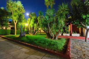 A garden outside Alykes Park Bungalows