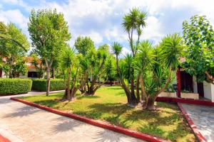 A garden outside Alykes Park Bungalows