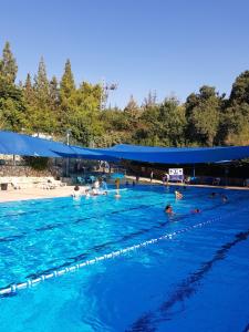The swimming pool at or close to Bloom's Studio הסטודיו של בלום