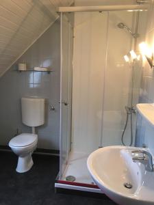 a bathroom with a shower and a toilet and a sink at Varloh B&B in Varloh