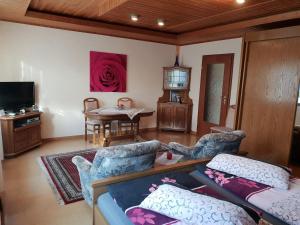 TV a/nebo společenská místnost v ubytování Holiday Home Mergenhofweg
