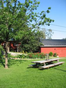 una mesa de picnic en el césped frente a un edificio rojo en Lyhdyn Tila, en Kaarina