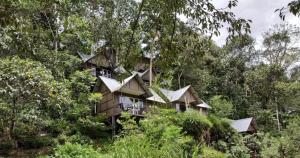 a tree house in the middle of the forest at Moselberg Riverside Cottages in Munnar