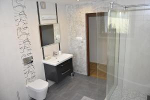 Un baño con inodoro, lavabo y ducha. en Apartament Bardzo Popularny, en Bolesławiec 16 fotos más
