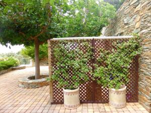a fence with two potted plants next to a tree at Anastasia Luxury Villas in Gavrio