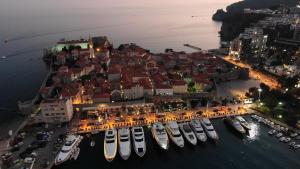 an aerial view of a harbor with boats in the water at Apartments Aleksić Old Town in Budva