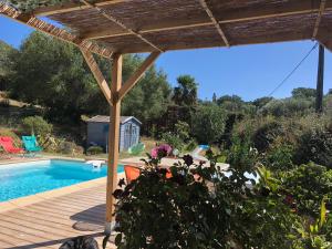 a patio with a swimming pool and a pergola at B&B Macchia Verdata avec piscine in Monacia-dʼAullène
