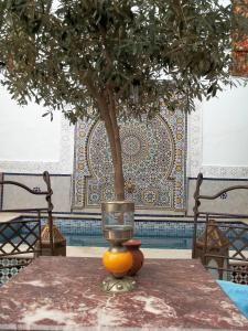 a table with a tree in a pot on top of it at Riad Attarine in Fès